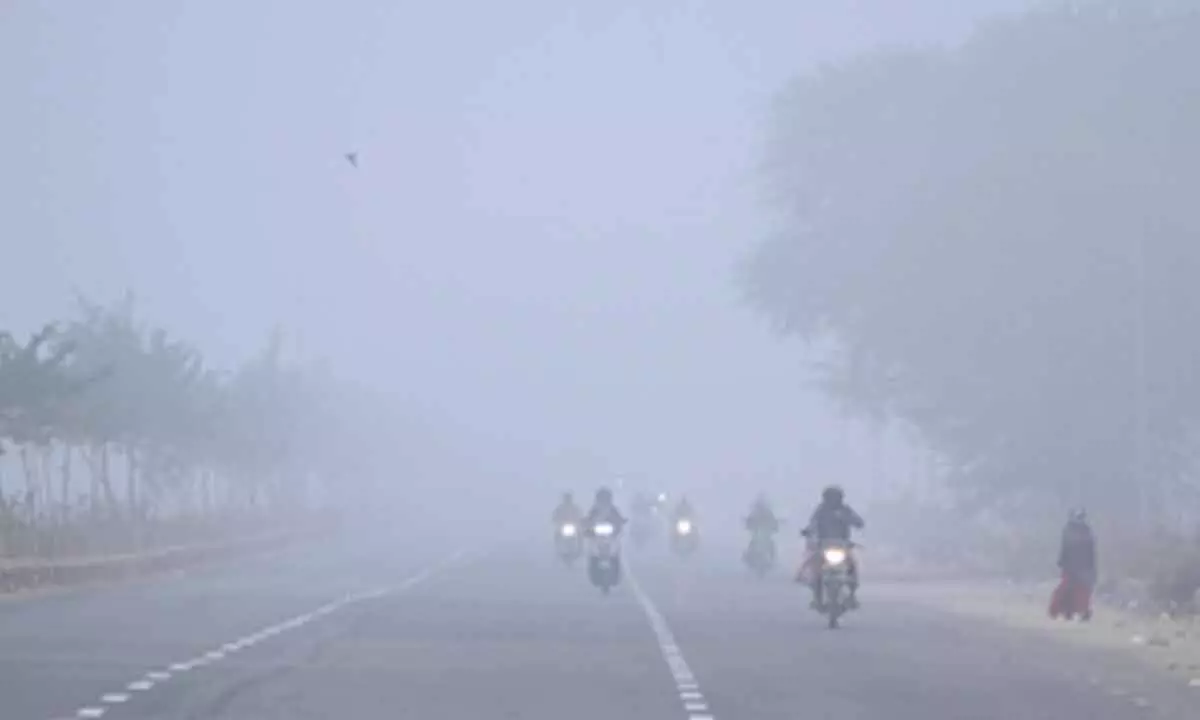 Dense fog to continue over northwest India: IMD