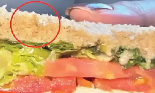 Passenger discovers live worm in sandwich on IndiGo flight