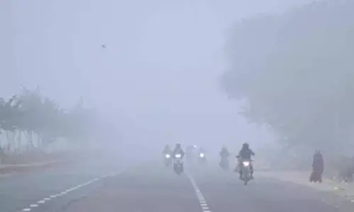 Dense fog to continue over northwest India: IMD