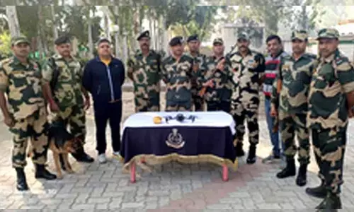 BSF detected, downed 107 drones from Pakistan, seized 442 kg heroin in Punjab in 2023