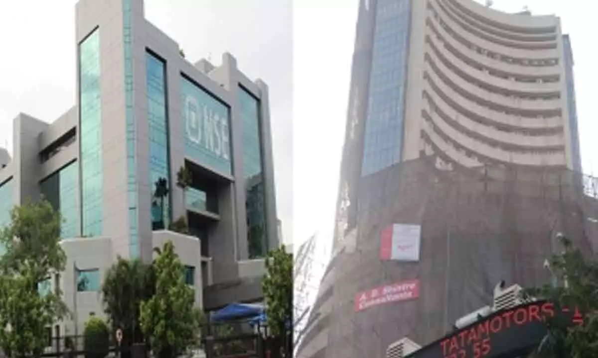 Sensex up more than 800 points led by IT stocks