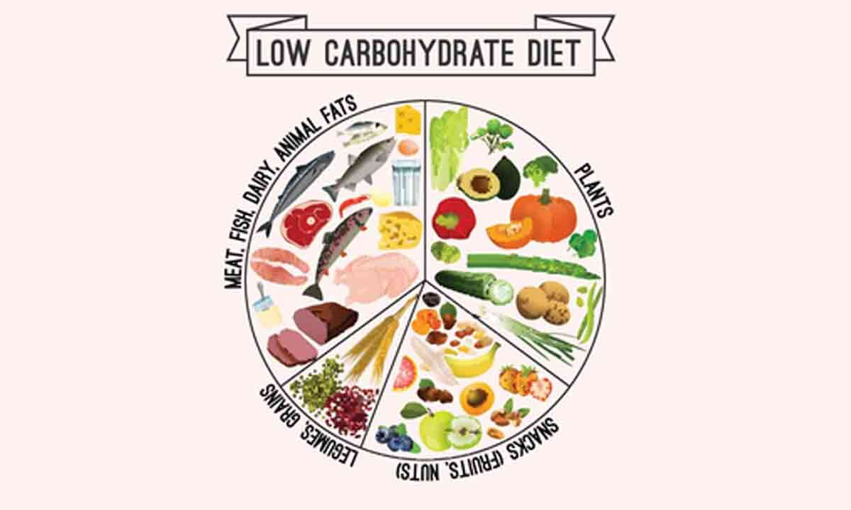 meat-based-low-carb-diet-may-not-aid-in-weight-loss-study