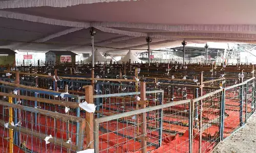 Arrangements being made at Sri Kanakadurga temple on Indrakeeladri in Vijayawada on Monday for Deeksha Viramana by Bhavani devotees Photos: Ch Venkata Mastan