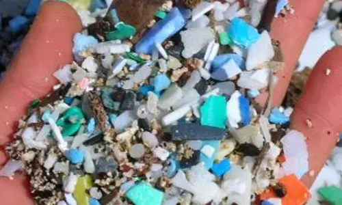 Microplastics seen altering soil properties
