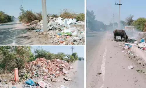 Jalpally Lake beset with official apathy