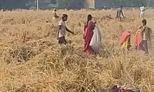 Fragmented ancestral lands, high input costs do a disservice to young farmers of Bihars Bhojpur