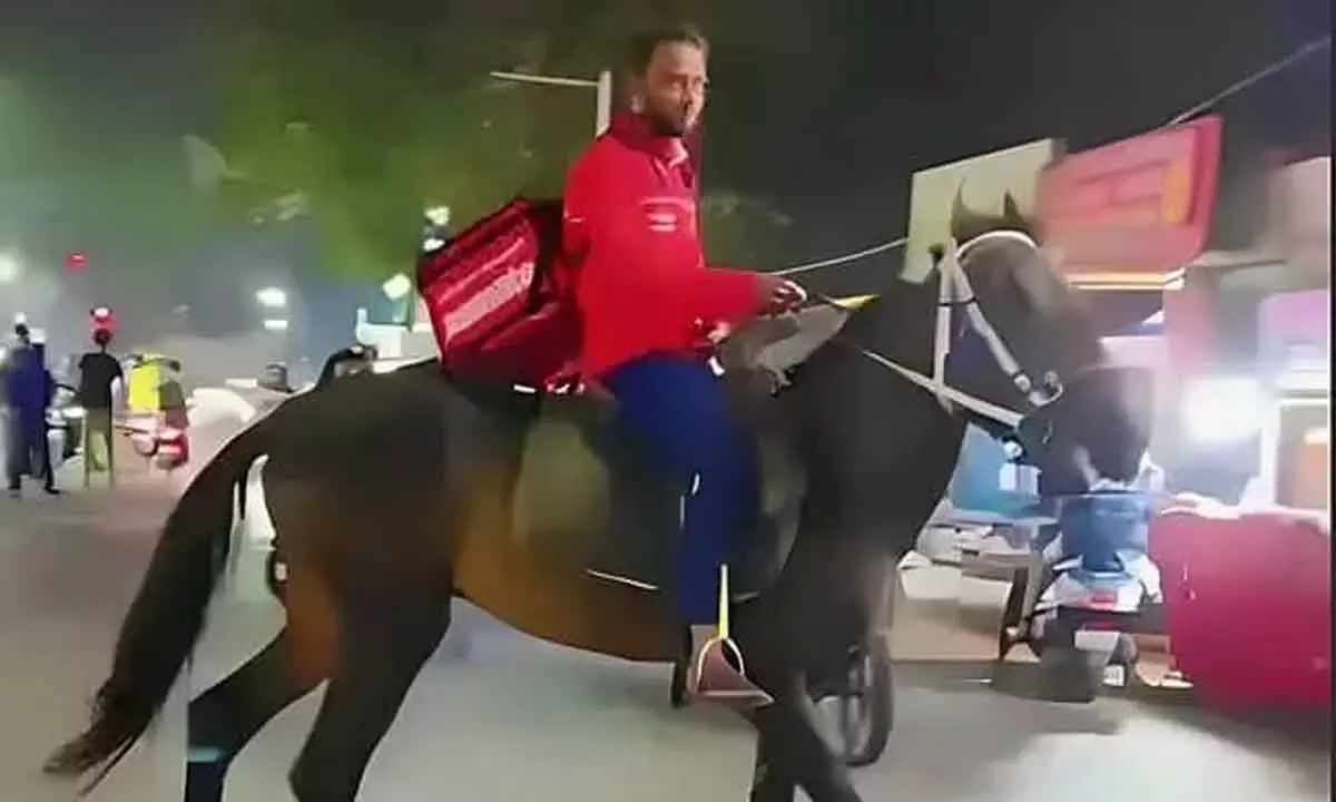 Zomato boy delivers food to customers on horse in Hyderabad