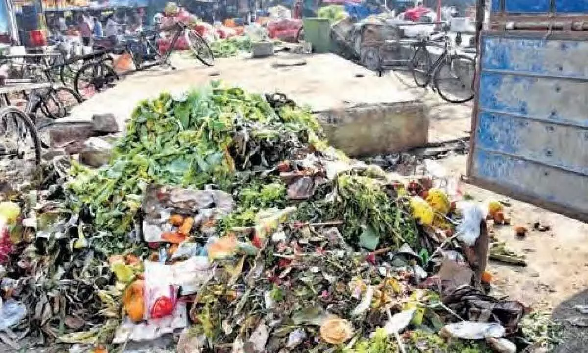 Nellore left stinking by sanitation workers’ strike