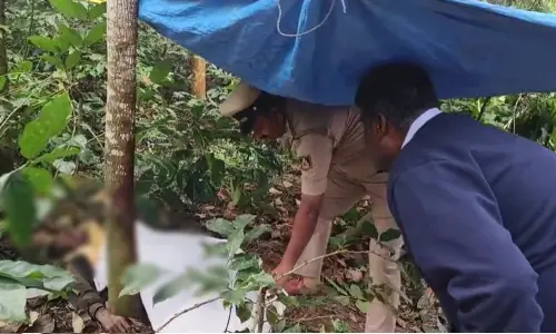 Wild elephant trampled to death a worker in Hassan; Villagers staged protest