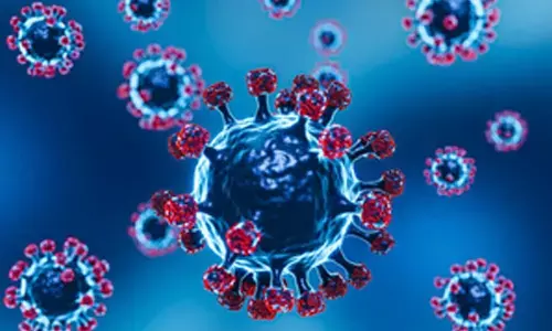 JN.1 represents very serious evolution of Covid virus, say global experts