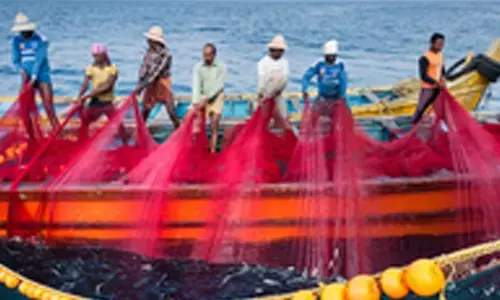 CMFRI proposes central legislation for regulation of fishing beyond territorial waters