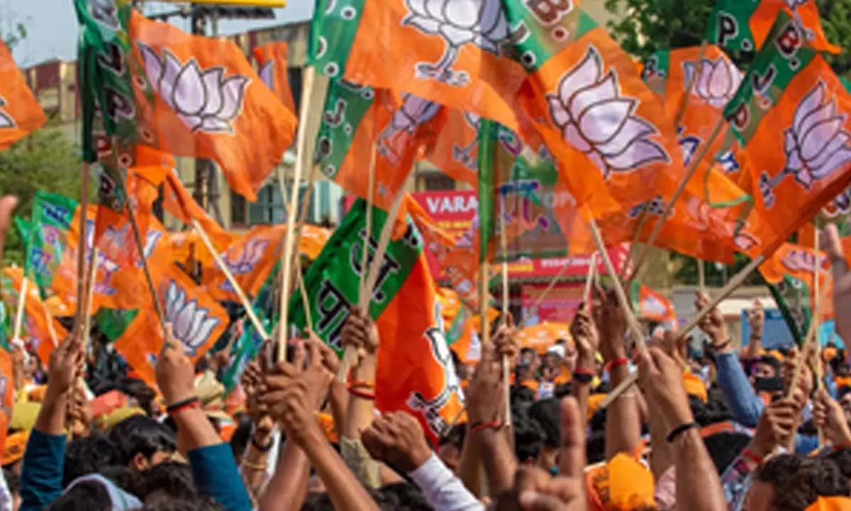 BJP forms 20 clusters for 80 LS seats in UP