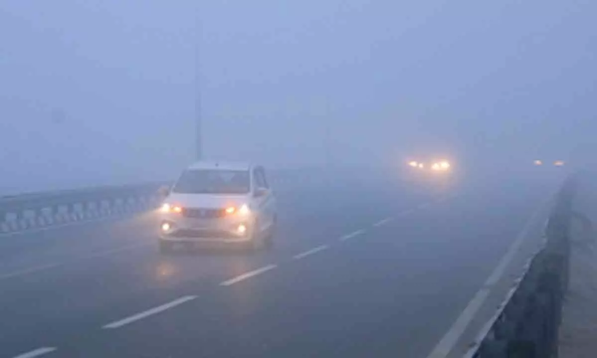 Dense fog, Cold Day conditions to continue over north India: IMD