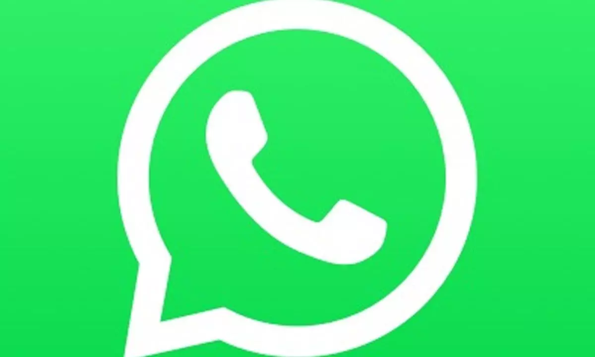 WhatsApp working on new Meta Verified option for businesses