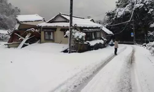 Japan quake toll spikes to 202