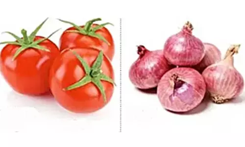 Google Trends data can help gauge inflation fears: ICRA report