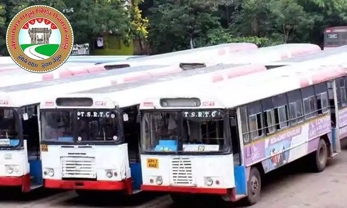 Women’s free ride puts men on toes in buses