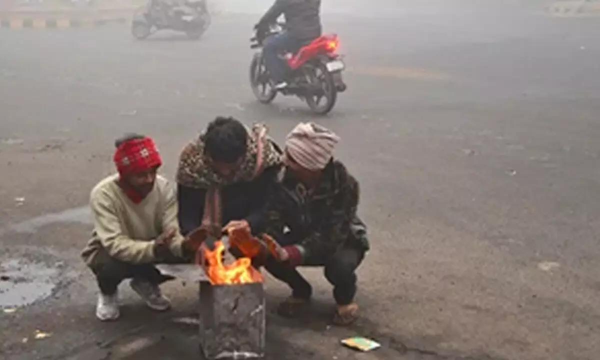 Winter Chill Grips Delhi: Coldest Day Recorded, Night Shelters At Full Capacity