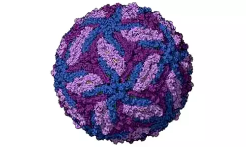 Study shows Zika virus potential for treating a childhood cancer