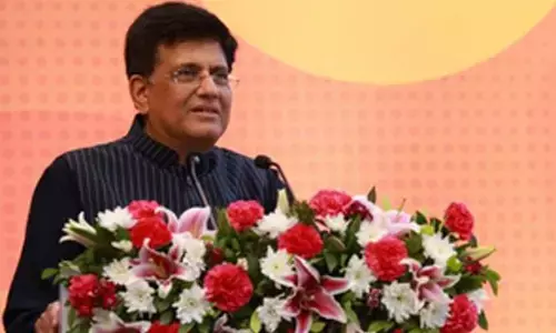 India, UAE aim to take bilateral trade to $100 billion: Piyush Goyal