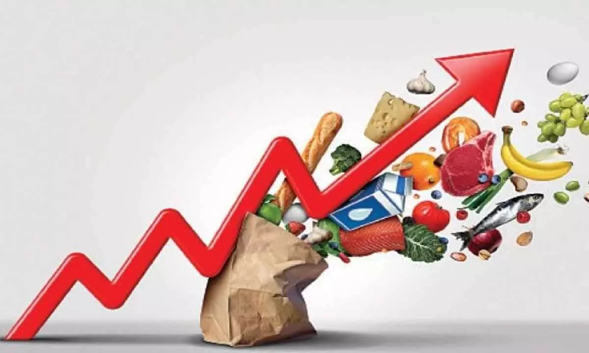 Food inflation remains a big worry for Modi govt