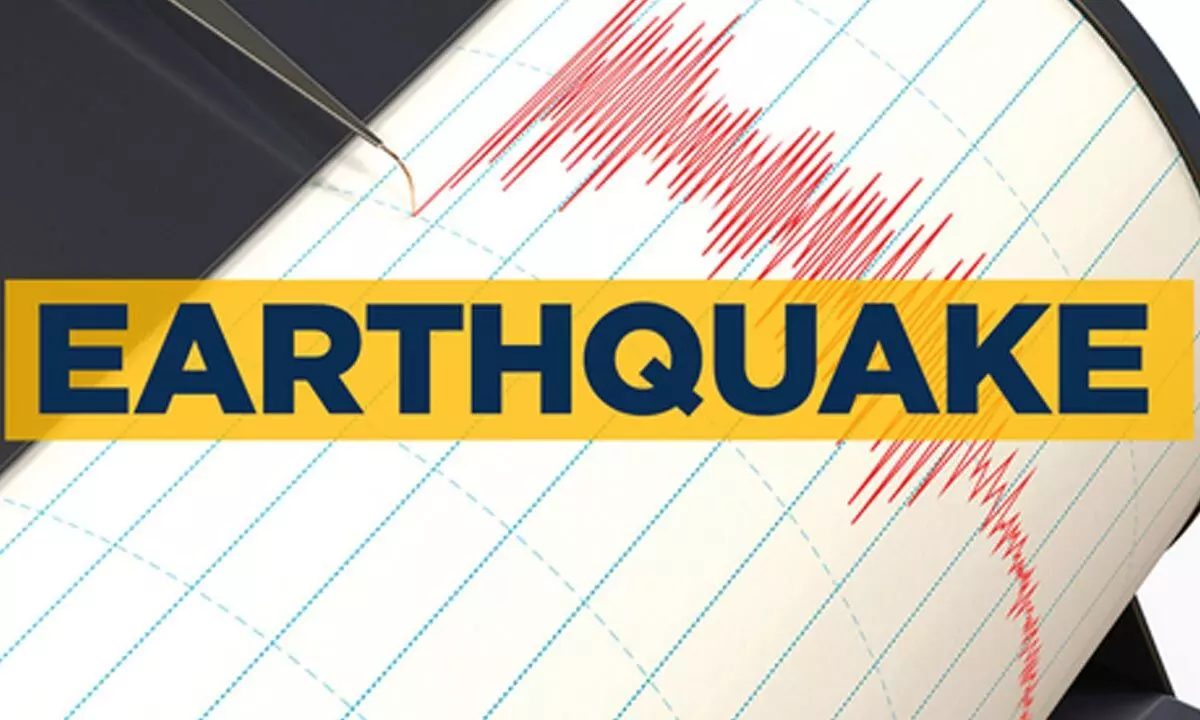 4.9 magnitude quake hits Iran