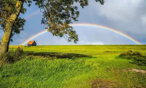 The beauty and mystery of colours