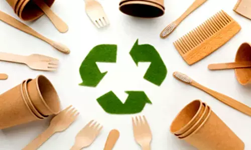 Govt cracking down on firms making false eco-friendly claims on products