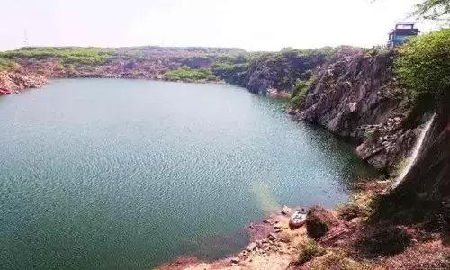 Ensure no encroachment in Asola Sanctuary: HC