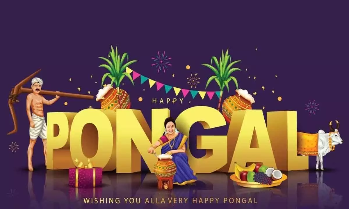 Pongal 2024: Date, History, Shubh Muhurat, Puja Samagri, Rituals, and 4 Days of the Festival