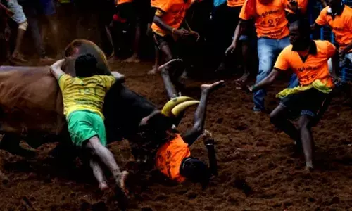 Only bull owners, tamers with passes will be allowed to enter Avaniyapuram Jallikattu: Police