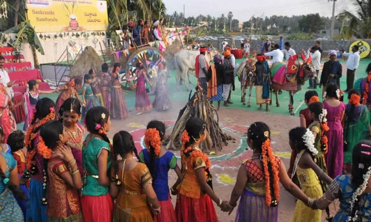 Sankranti unites India, a tapestry of harvest and tradition