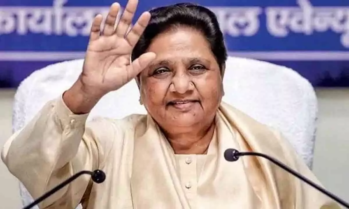 BSP to contest alone in parliament elections, says Mayawati