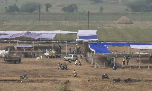 Cockfights rampant in Krishna district