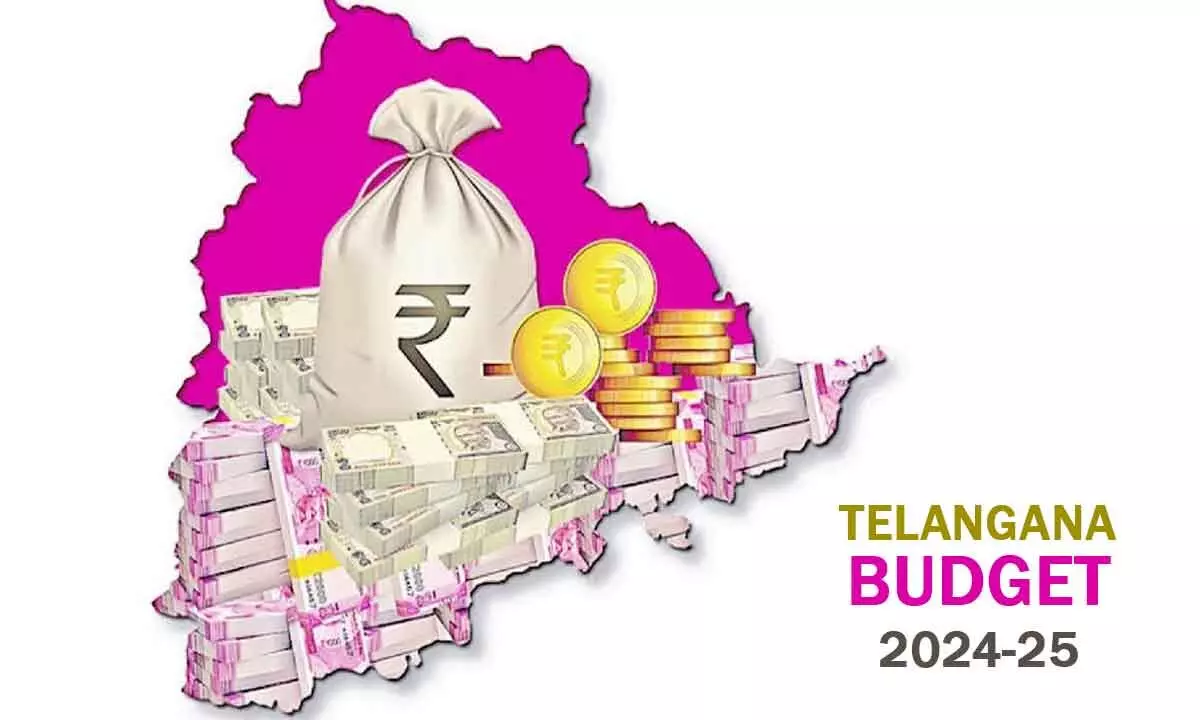 Telangana govt. gears up for Budget 2024-25, to conduct reviews dept. wise
