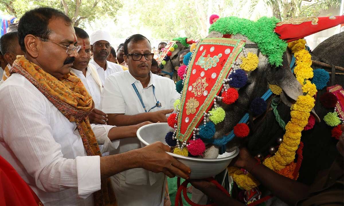 Tirupati TTD Chairman Promotes Gopuja Mahotsavam To Preserve Culture ...