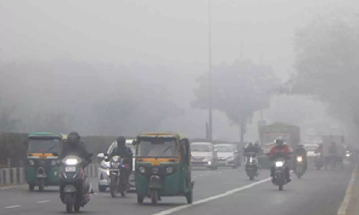 Dense fog & cold wave to continue for 5 days, says IMD