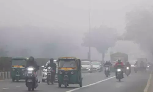Dense fog & cold wave to continue for 5 days, says IMD