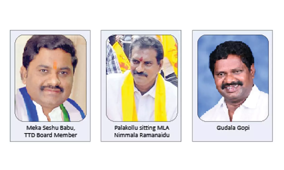 YSRCP failed to make inroads into Palakollu constituency till date