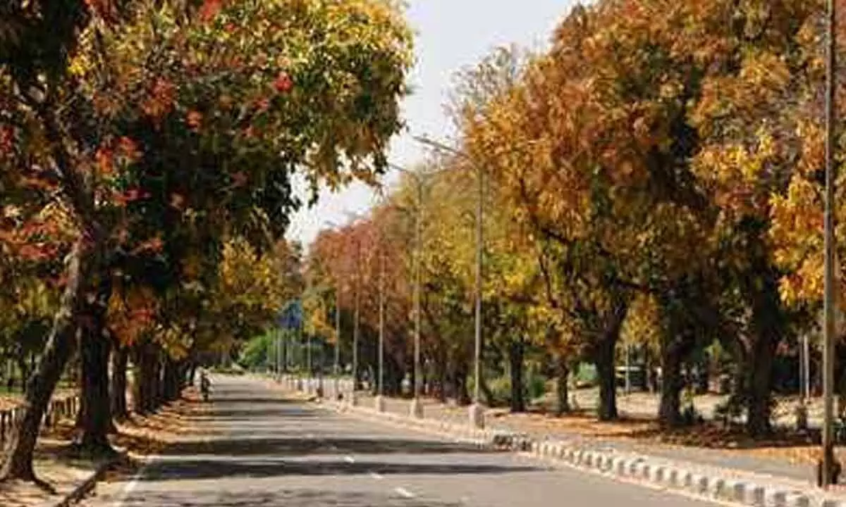After over fortnight, Chandigarh wakes up to sunny morning