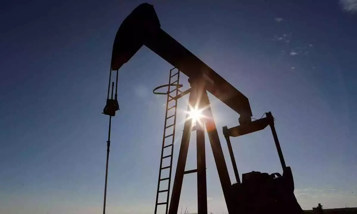 Govt trims windfall tax on crude petroleum