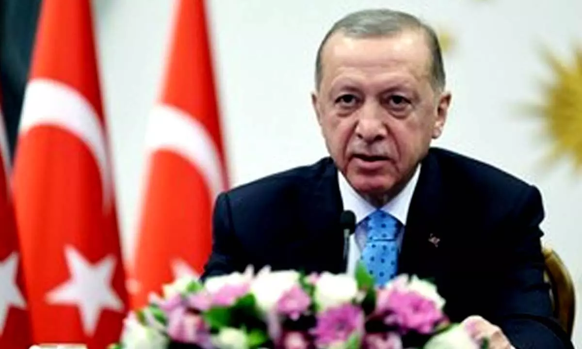 Turkey to continue cross-border operations on Kurdish militants in Iraq: Erdogan