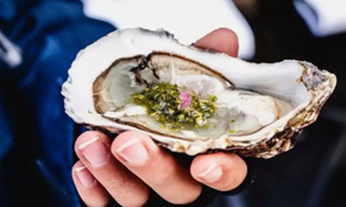 LA health department investigates illnesses linked to raw oysters