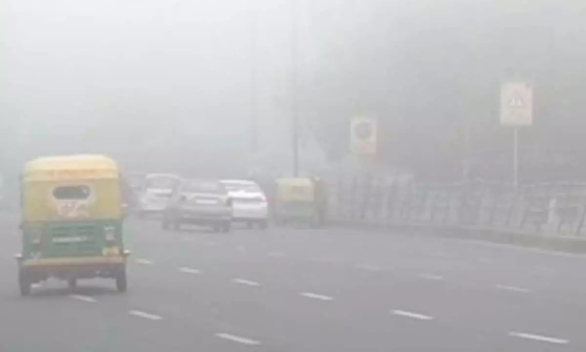 Dense fog, cold day conditions to continue for two more days in north India: IMD