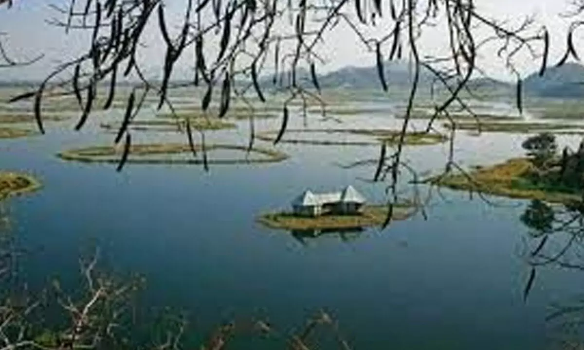 NE India’s largest freshwater body hit by illegal acts