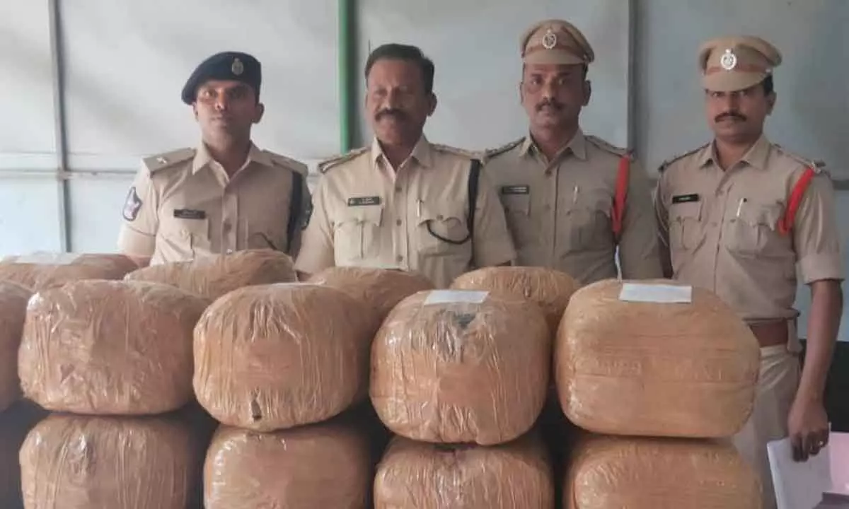 Police with seized ganja and accused persons in Vizianagaram on Friday