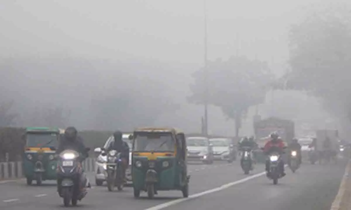 No significant change in minimum temperature likely over north India till next week: IMD