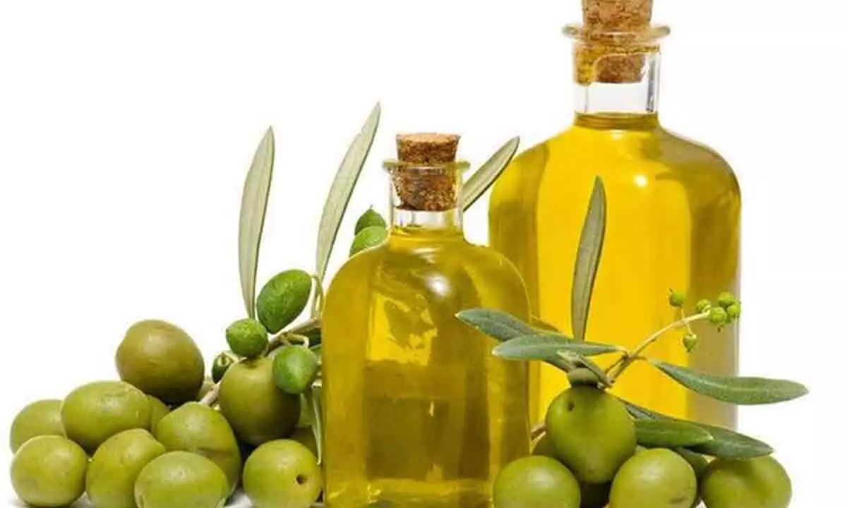 Benefits of Consuming Olive Oil in Winter