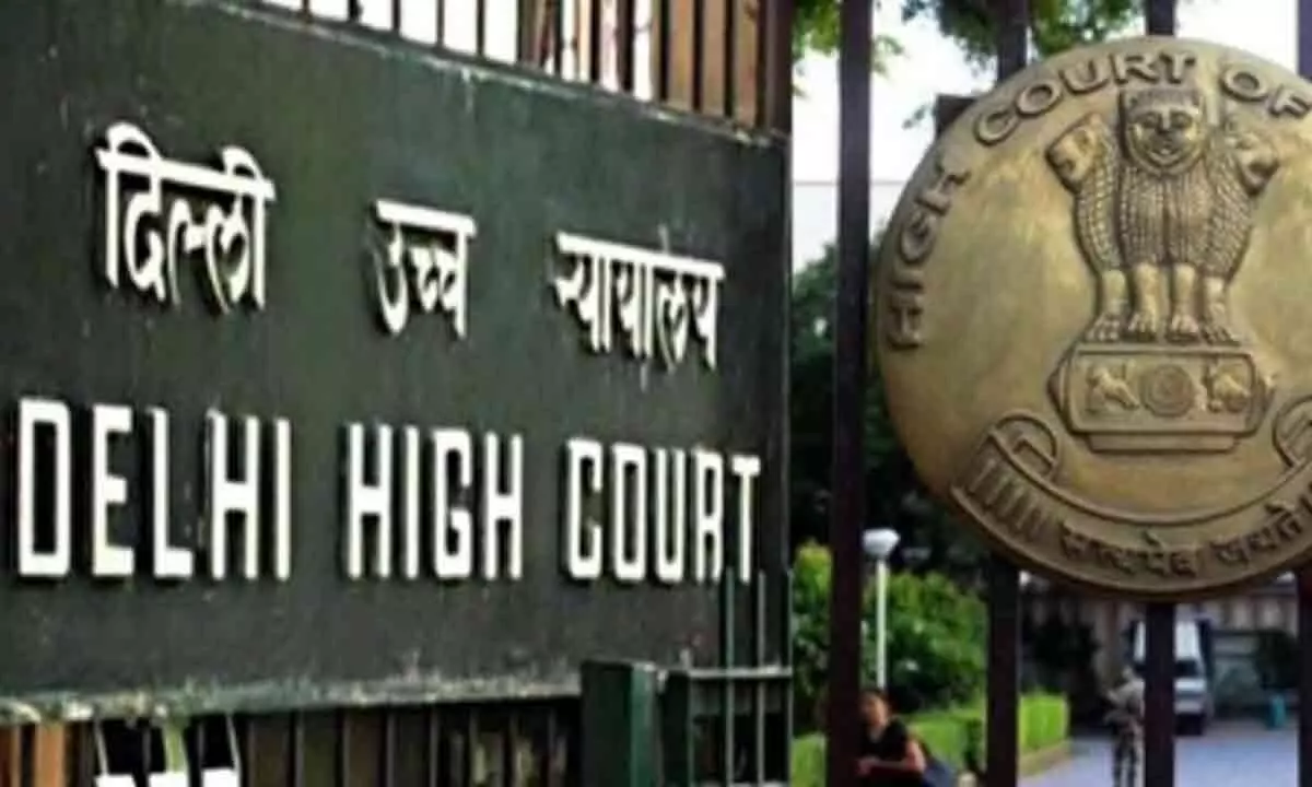 Delhi HC prioritises childs well-being in custody battle, stresses on interaction with both parents