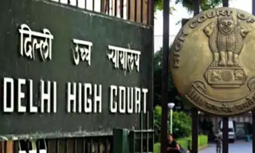 Delhi HC prioritises childs well-being in custody battle, stresses on interaction with both parents